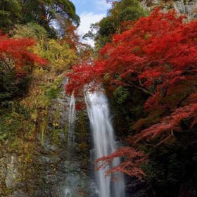 箕面大滝