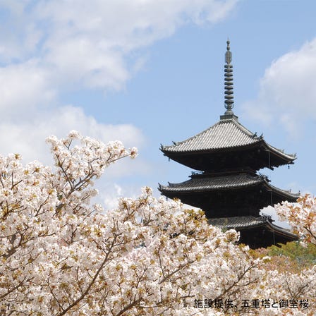 Ninna-ji Temple