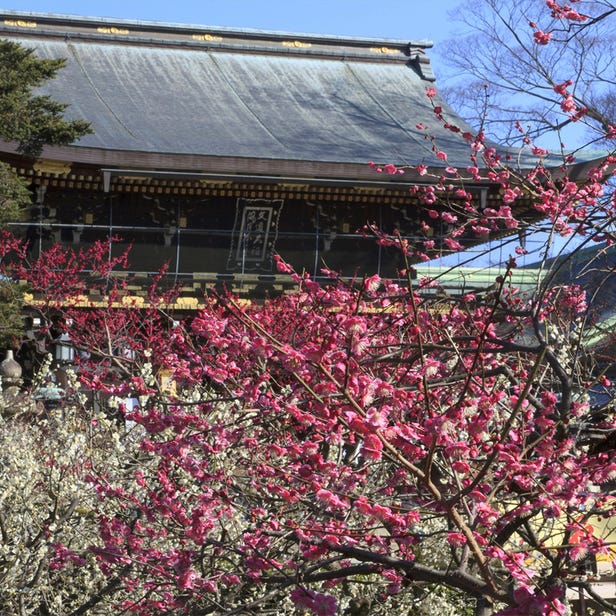 Kitano Tenman-gu Shrine