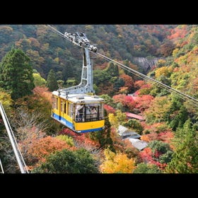 록코 아리마 로프웨이