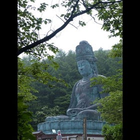 昭和大仏　青龍寺