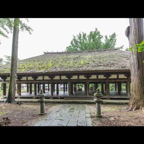 新宫熊野神社“长床”