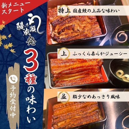 Unagi-no Naruse Kandamyojin