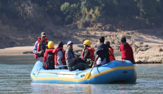 Gharial census begins in Rapti River