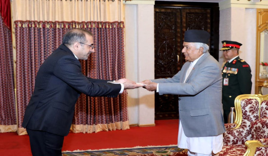 Newly appointed ambassadors present credentials to President