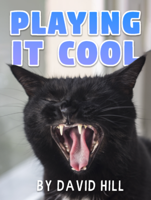 Cover of Playing It Cool