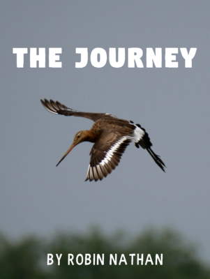 Cover of The Journey