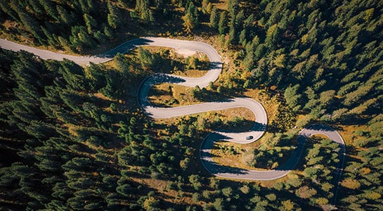 curvy road in the forest