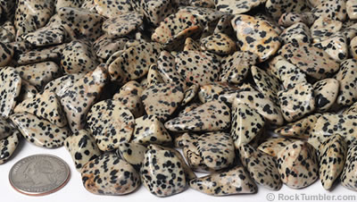 Dalmatian Stone