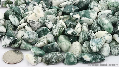 Tree Agate