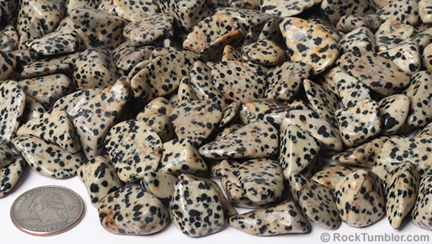 Dalmatian Stone