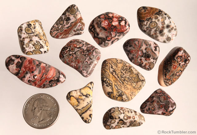 leopard skin tumbled stones