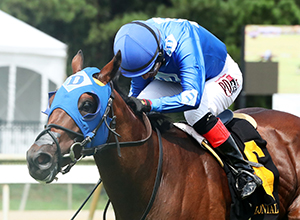 Horse racing at Colonial Downs in New Kent