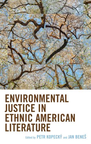 Cover Image of the book titled Environmental Justice in Ethnic American Literature