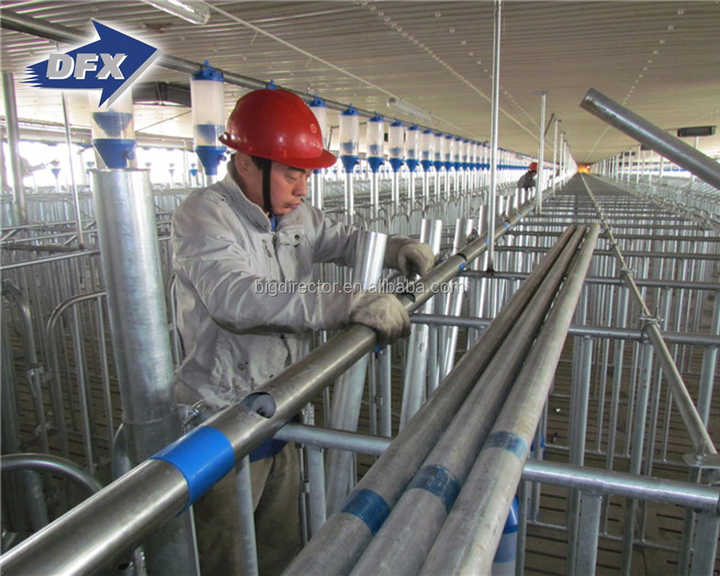 China Metal Frame Prefabricated Pig Farm House Building Steel Structure Manufacturers Construction