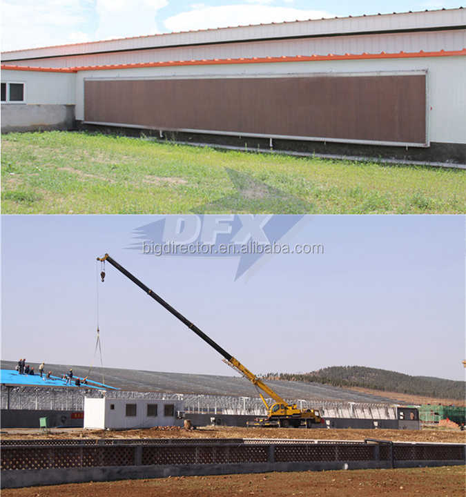 China Metal Frame Prefabricated Pig Farm House Building Steel Structure Manufacturers Construction