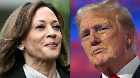 Kamala Harris (G) et Donald Trump (D), candidats à la présidentielle américaine de novembre 2024.