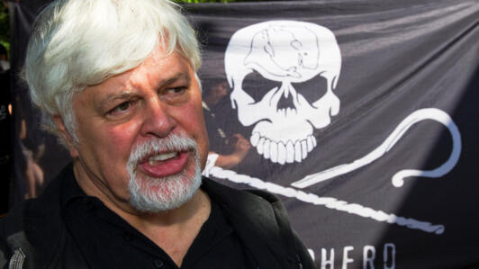 Paul Watson, devant le drapeau de son ONG Sea Shepherd, le 23 mai 2012 à Berlin.