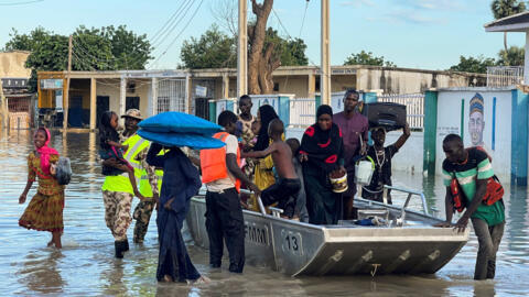 Sufurin Kwale-Kwale a Maiduguri