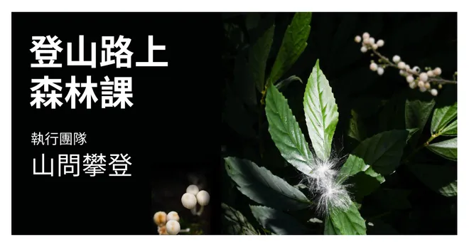 【早鳥優惠】實體課｜登山路上的森林課：登山嚮導帶你生態登山 x 植物觀察