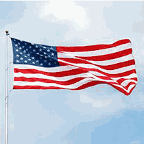   American Flags - Polyester