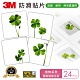 3M 防滑貼片-植物 (24片入) product thumbnail 1