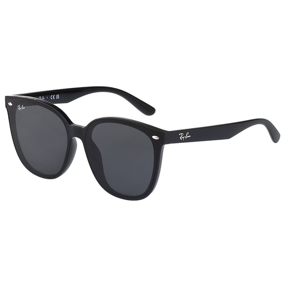 RAY BAN 太陽眼鏡(黑色)RB4423D