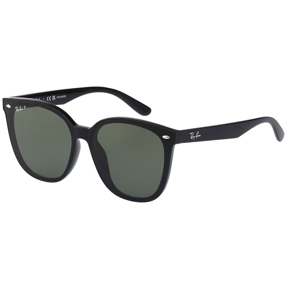 RAY BAN 偏光 太陽眼鏡(黑色)RB4423D