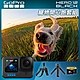 GoPro HERO12 Black 寵物開心跑套組 (HERO12單機+Fetch寵物專用胸背帶+Shorty迷你延長桿+腳架+64G記憶卡) 正成公司貨 product thumbnail 2