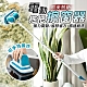 歐美熱銷電動多功能拖把擦窗器 product thumbnail 2