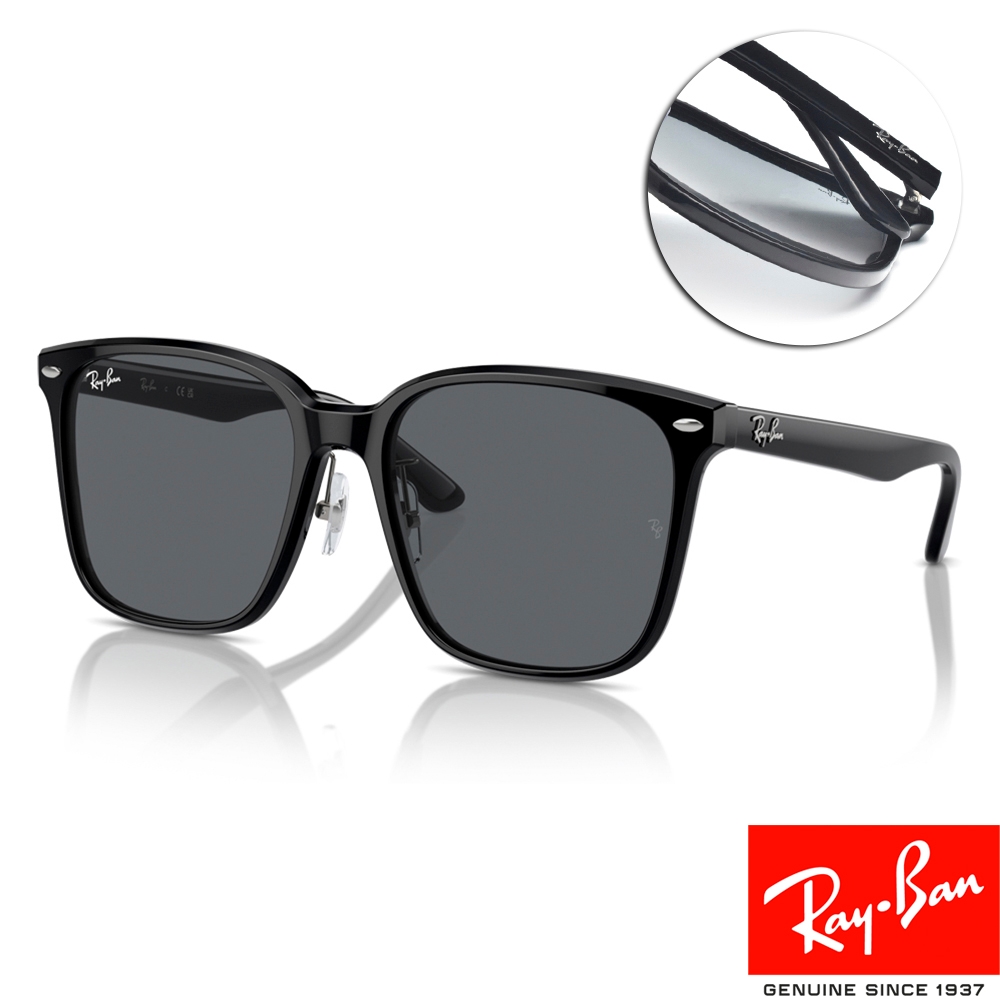 RayBan 雷朋 大方框太陽眼鏡 成毅同款/黑 深灰鏡片#RB2206D 90187-57mm