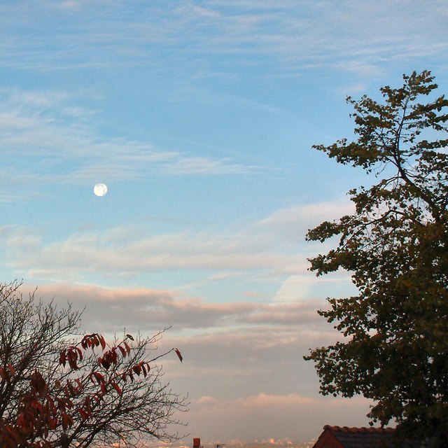 The moon in the morning sky