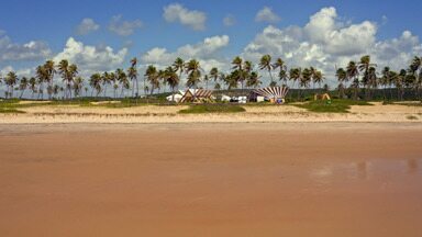 Ilha - As Ilhas de Marajó e Fernando de Noronha são protagonistas da Prova Rústica. Com os ânimos abatidos, os perdedores trabalham com frutos do mar, e 2 duelam no preparo da lagosta em 15 minutos.