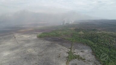 Setor produtivo lança campanha de combate aos incêndios florestais em MS - Setor produtivo lança campanha de combate aos incêndios florestais em MS