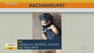 Acha Meu Pet: Telespectadores buscam por pet's desaparecidos - Confira as participações dos telespectadores.