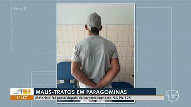 Homem é preso após ser flagrado arrastando cachorro em veículo em Paragominas - Saiba mais sobre o caso.