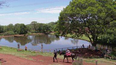 Bloco 02 Caminhos do Campo (21 01 24) - Conheça duas opções de turismo rural na região de Foz do Iguaçu. Propriedades em Medianeira e São Miguel do Iguaçu oferecem estadia, alimentação e atividades e contato com a natureza. Confira a agenda do campo para os próximos dias.