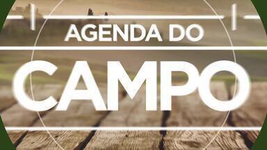 Agenda do campo (22 a 28 de janeiro) - Retorno das caminhadas na natureza com evento em Rio Negro. Também tem festa na Colônia Marcelino, em São José dos Pinhais. 