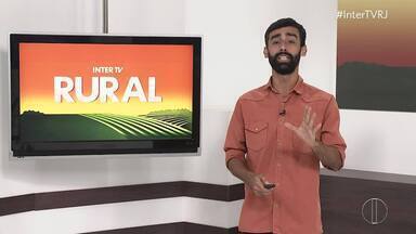 Veja edição completa do Inter TV Rural deste domingo, 28 de janeiro de 2024 - Programa traz as principais notícias do campo no Estado do Rio de Janeiro.