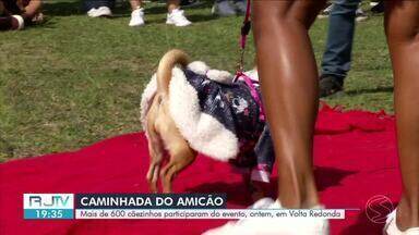 'Caminhada do Amicão" reúne mais de 600 cães em Volta Redonda - Evento foi realizado na Ilha São João, com uma série de serviços e atrações para os pets.