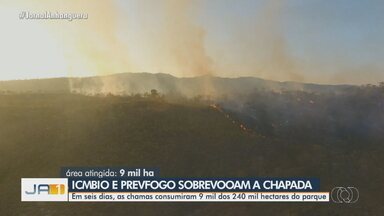 Queimadas consomem 9 mil hectares da Chapada dos Veadeiros em seis dias - Ao todo, parque conta com 240 mil hectares.