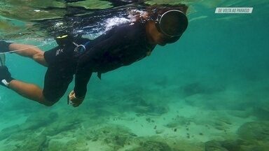 Fernando de Noronha, Pernambuco - O mergulhador e documentarista Lawrence Wahba retorna ao seu paraíso pessoal, Fernando de Noronha, marcante em sua vida e fundamental para sua carreira.