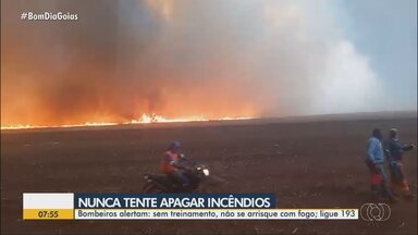 Bombeiros alertam para riscos de se tentar apagar incêndios - Bombeiros alertam: sem treinamento, não se arrisque com fogo; ligue 193.