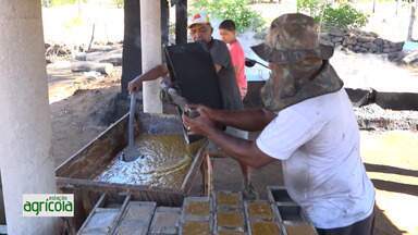 Giro Nordeste destaca a produção de rapadura - Giro Nordeste destaca a produção de rapadura