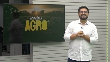 Amazônia Agro de domingo, 27 de outubro de 2024 - Veja a íntegra.