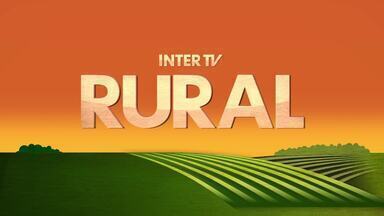 Íntegra do Inter TV Rural deste domingo, 3 de novembro de 2024 - Telejornal traz as notícias do campo.