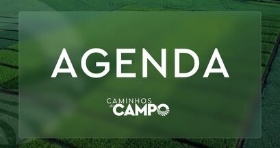 Agenda do campo (11 a 17 de novembro) - Programação conta com peregrinação de 3 dias e exposição agropecuária