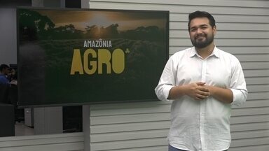 Amazônia Agro de domingo, 10 de novembro de 2024 - Veja a íntegra.