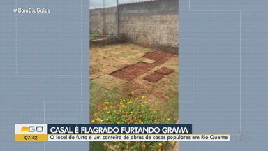 Casal é flagrado furtando grama em Rio Verde - Local do furto foi um canteiro de obras de casas populares da cidade.