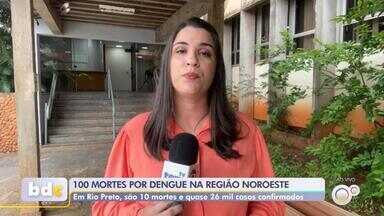 Noroeste paulista registra 100 mortes por dengue e mais de 86 mil casos da doença em 2024 - A região noroeste paulista registrou 100 mortes por dengue e mais de 86 mil casos positivos da doença neste ano. São José do Rio Preto (SP) contabilizou 10 óbitos pela doença e Jaci (SP) divulgou a primeira morte no ano, nesta terça-feira (3).